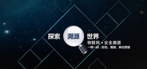 農產品質量安全可追溯系統開發方案 基于現代網絡技術的構建與實施