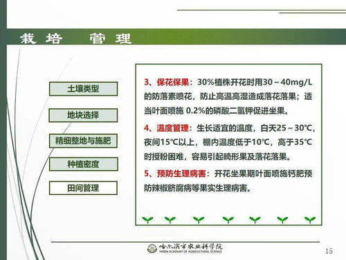 黨建引領謀發展，科技助農備春耕 網絡課堂之辣椒栽培技術要點與網絡技術開發融合新路徑